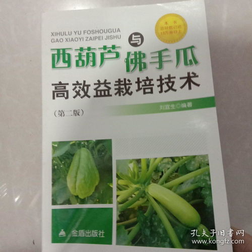 佛手瓜种植与管理：揭秘高效产出的秘密武器
