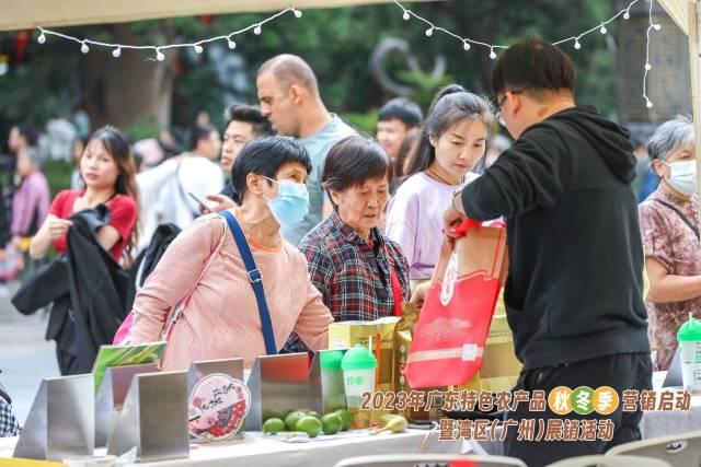 特色农产品营销_广东特色农产品秋冬季营销_翡翠绿璞柑
