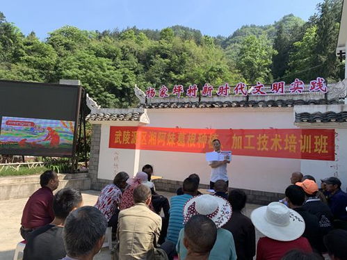 草莓种植技术培训机构：助力草莓产业升级，开启高效益时代