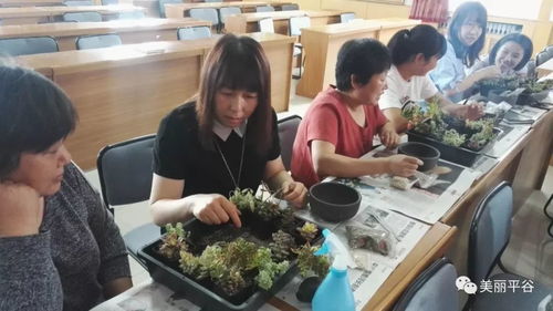 揭秘多肉种植新趋势——多肉种植技术培训学校助力绿色生活