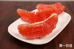 揭秘红肉密柚种植技术：如何打造高品质果品？