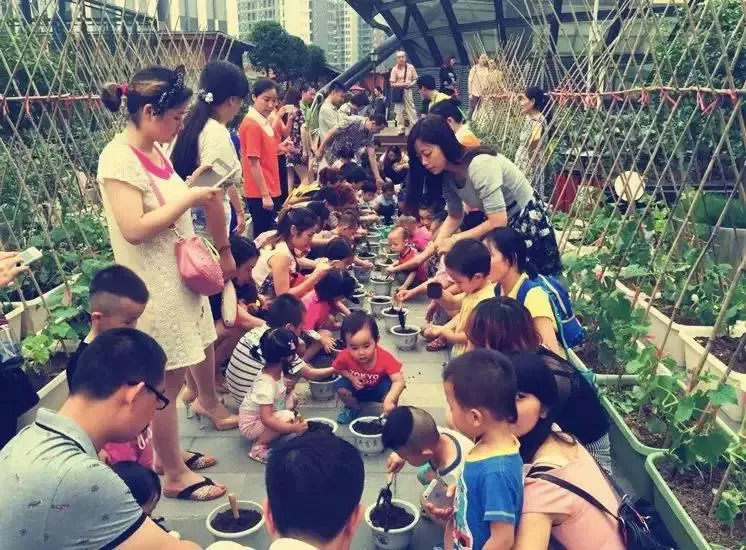 农业经营方法决定成败_特色农产品营销_火龙果盆栽种植案例