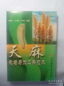 天麻种植：揭秘绿色黄金的培育之道与市场前景