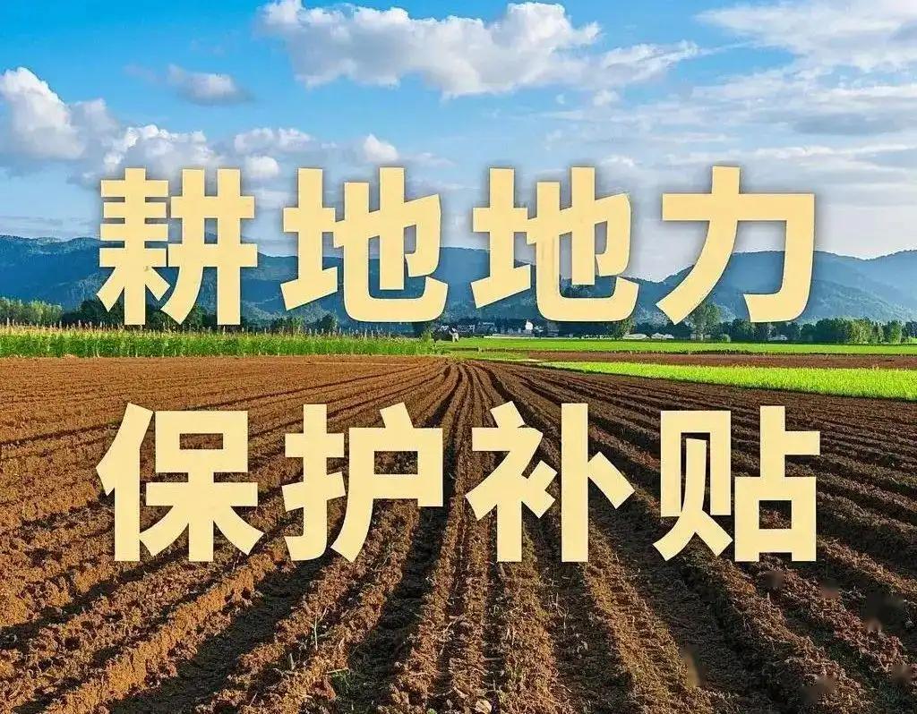 农产品补贴_农业补贴标准动态调整_小麦一喷三防补助政策