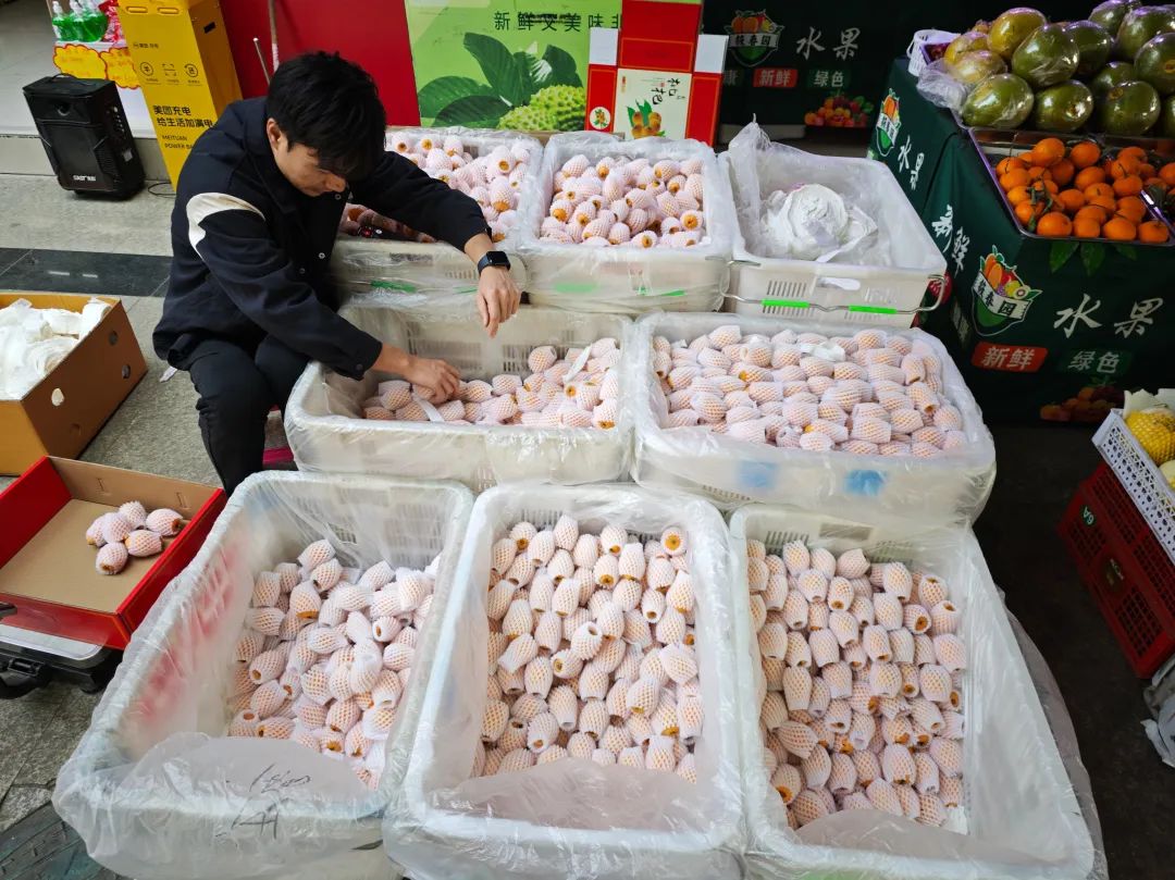 中国东盟农产品贸易合作_东盟农产品进口中国_我国优势农产品