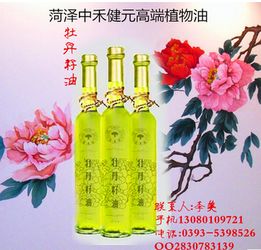 食用油牡丹种植技术：古老植物的现代焕发