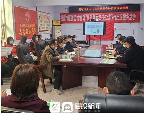 《提升粮油产量，种植技术培训势在必行——揭秘高效种植之道》