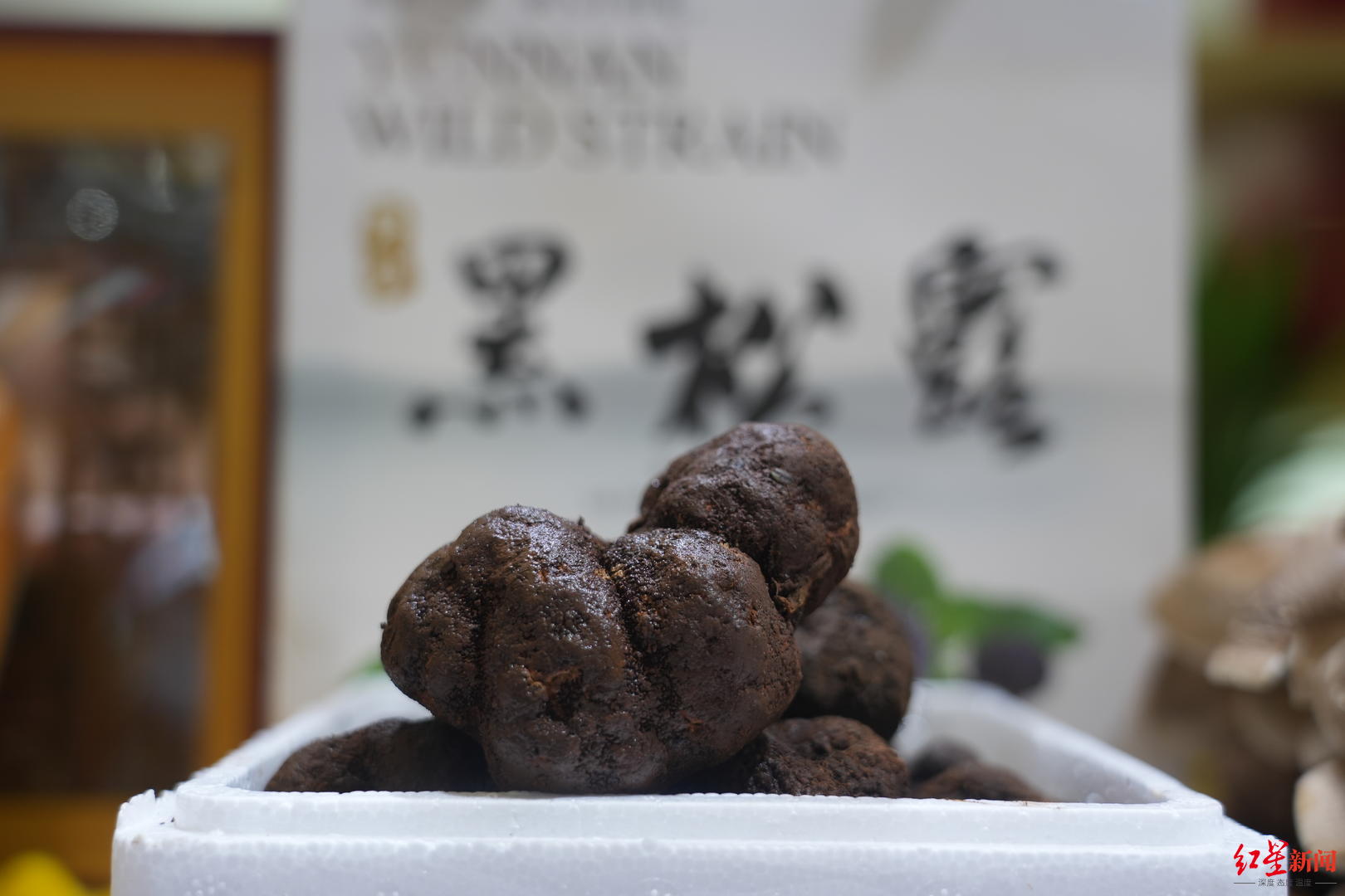 攀枝花特色农产品 四川农博会 _ 攀果区域公用品牌 _特色农产品 展览馆