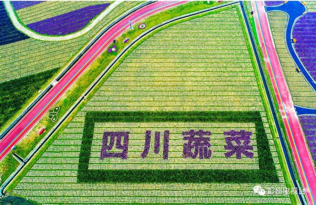 定点市场认证_四川雨润国际农产品交易中心_农产品买卖app