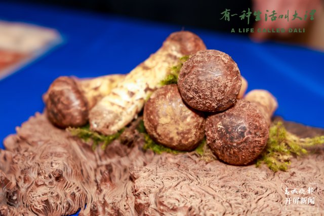 大理州农业产业转型升级_大理高原特色农产品上海推介活动_高原农产品是什么