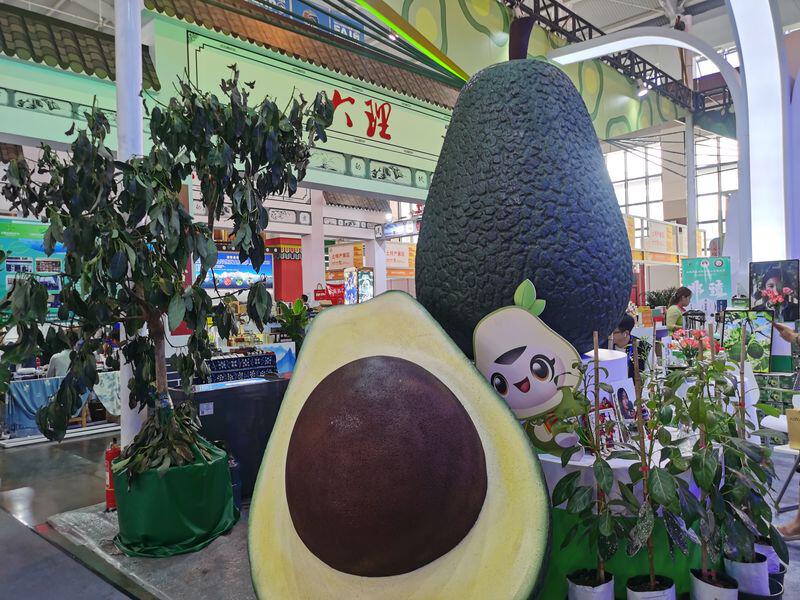 云南特色农产品展示_第8届南博会现代农业馆_高原农产品是什么