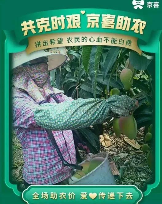 农产品滞销信息_疫情农产品滞销解决方案_京东助农直播