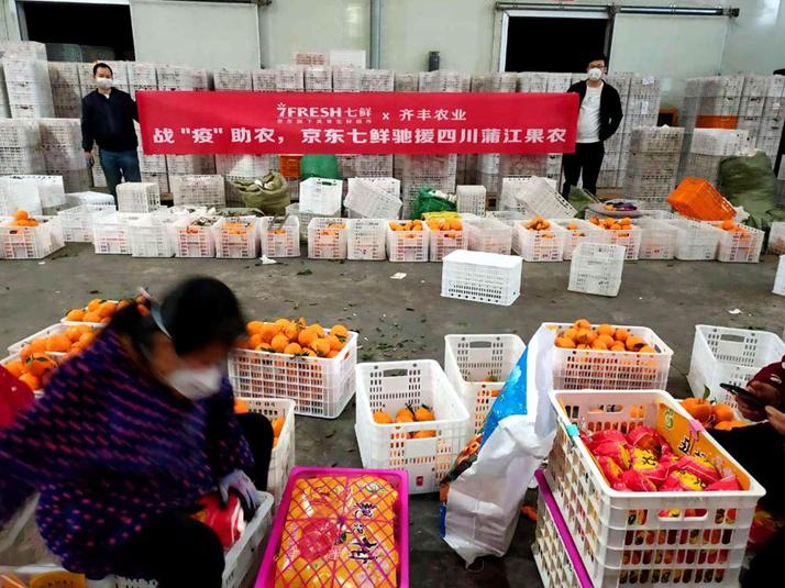京东生鲜滞销农产品_疫情下农产品上行解决方案_农产品滞销信息