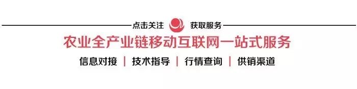 跨境电商农产品发展前景 _农产品外贸怎么做_