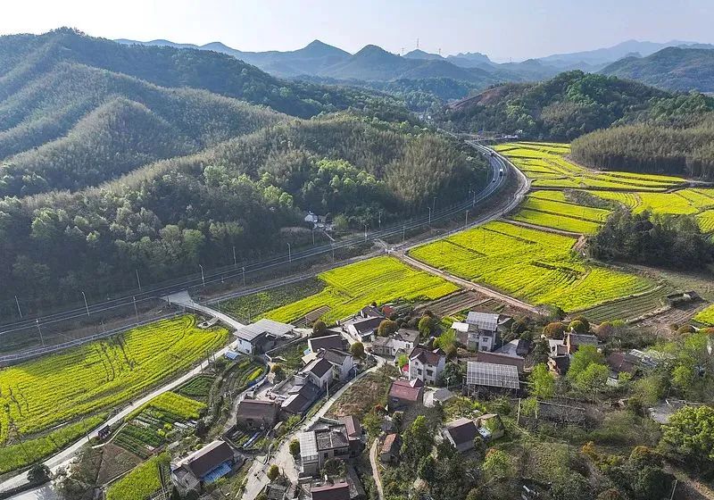 电商助力乡村振兴模式_农产品电商成功案例_陇南电商扶贫试点