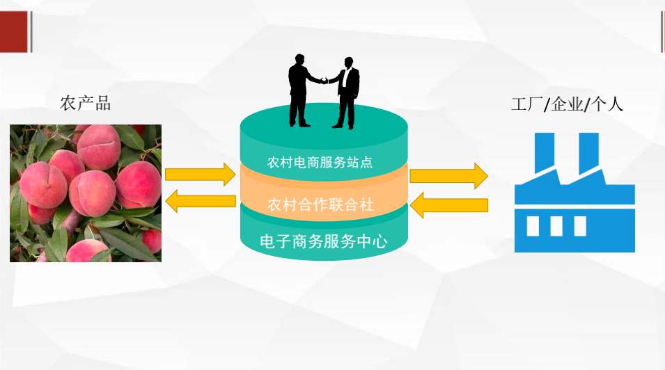 电商助力乡村振兴模式_农产品电商成功案例_陇南电商扶贫试点