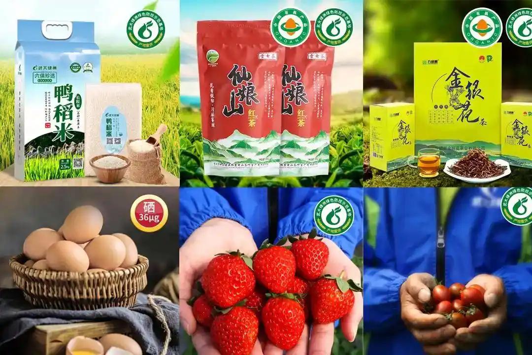 绿色健康农产品_绿色农产品的标准_源头把控食品安全