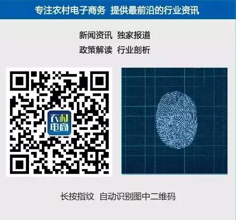 浙江遂昌电商案例_农村电商成功模式_农产品电商成功案例