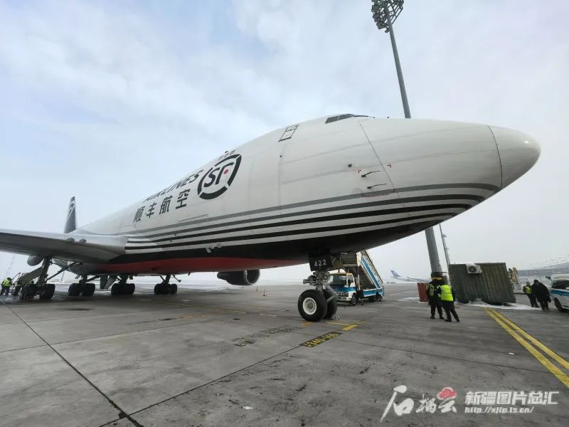 新疆特色农产品快递排名_新疆农产品交易网_新疆快递业务量增长