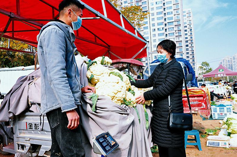 商丘农产品批发市场_商丘市蔬菜滞销解决方案_商丘睢阳区自卖头市场