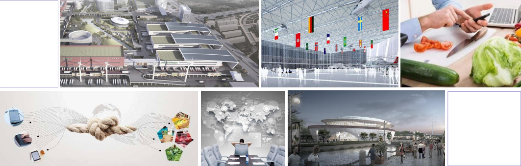 上海农产品批发市场发展_第五代农产品批发市场建设规划_上海农产品中心批发市场迁