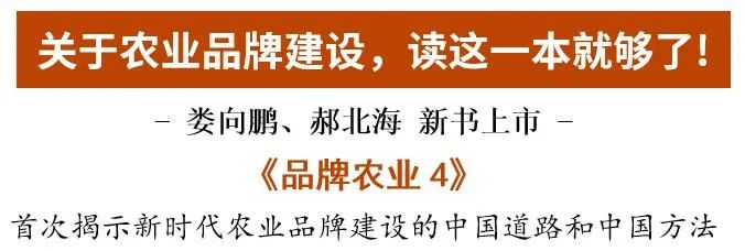 农业英特尔模式_农产品营销体系_丹东草莓品牌营销