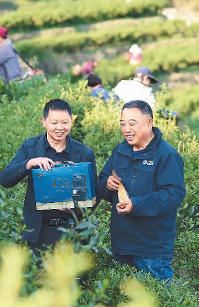 农村直播电商培训 _田间地头农产品_ 农村直播助农经验分享 