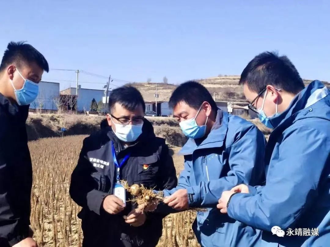 中央单位定点扶贫先进集体_中国地震局定点帮扶永靖县_永靖县农产品监测