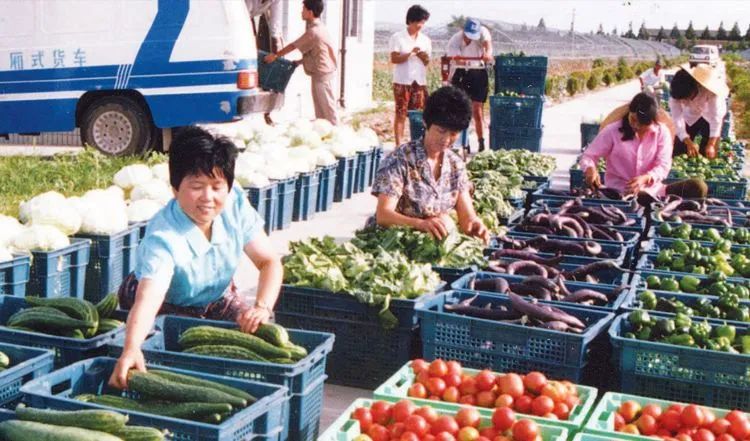 传统农产品流通模式_农产品电商发展历程_农产品流通五个阶段