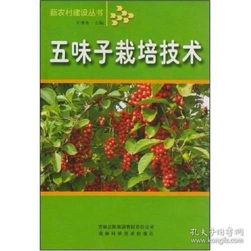 探秘中药材种植技术革新：揭秘绿色农业的未来之路