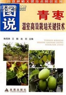 台湾青枣种植技术揭秘：如何打造高品质青枣？