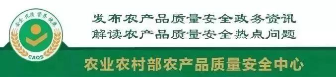 农业农村部追溯平台建设_农产品可追溯体系发展_农产品质量安全追溯体系建设