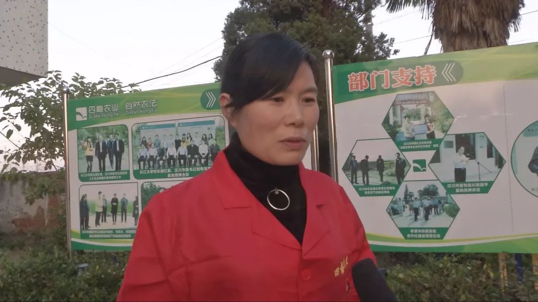 农产品检测设备_庙头镇四梅种养殖专业合作社 快检设备 农产品质量安全提升