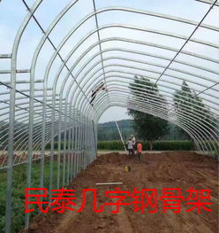 温室种植大棚技术革新：揭秘未来农业新篇章