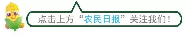 农产品直播销售_柳岩直播卖农产品_农产品网络销售对象