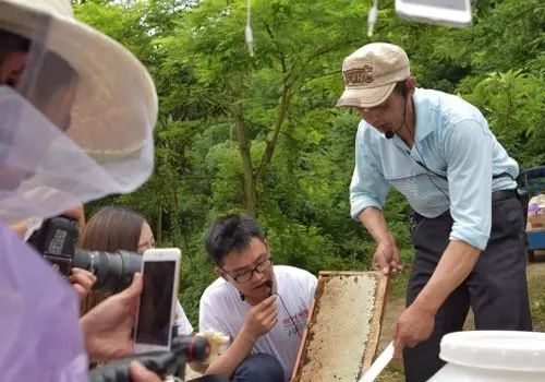 柳岩直播卖农产品_农产品直播销售_农产品网络销售对象