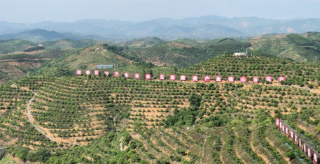 广西农产品地理标志_广西地理标志农产品知识产权证券化_粤桂协作乡村振兴