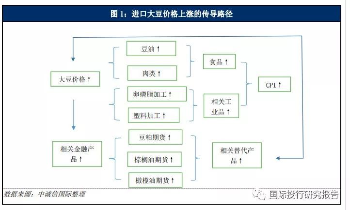 中国海关进口商品检查力度加大_2025中韩农产品贸易额_中美贸易战影响美国出口商