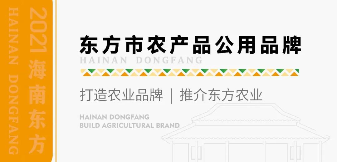 海南东方现代农业品牌建设_农产品标志设计_东方市农产品公用品牌标识征集