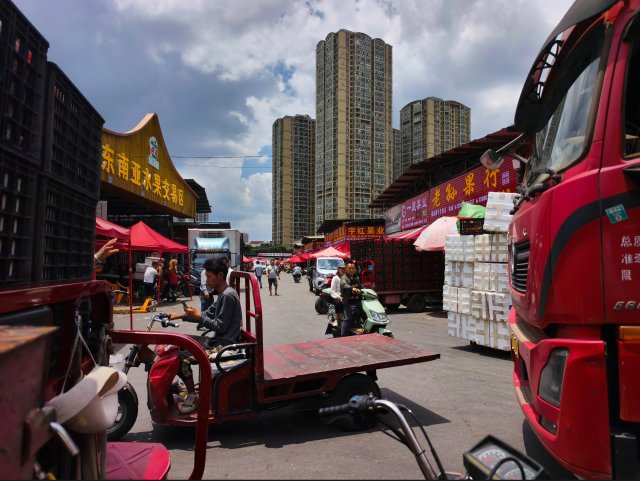 水果批发网 最大的线上农产品_昆明热搜榜 榴莲价格 昆明水果市场