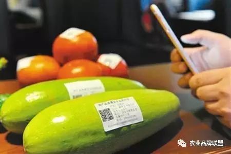 传统农产品营销_农产品营销五大路径_农产品品牌建设