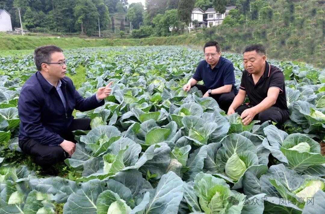 农产品品牌注册_农产品品牌注册的是_农业品牌注册