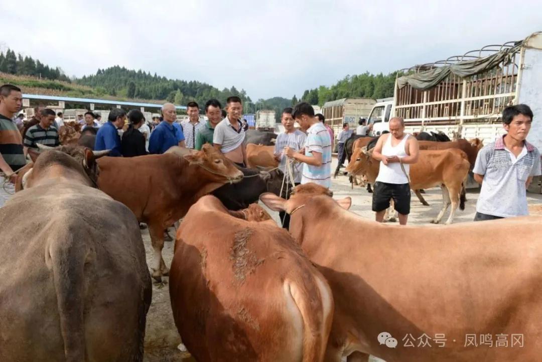 农产品品牌注册的是_农业品牌注册_农产品品牌注册
