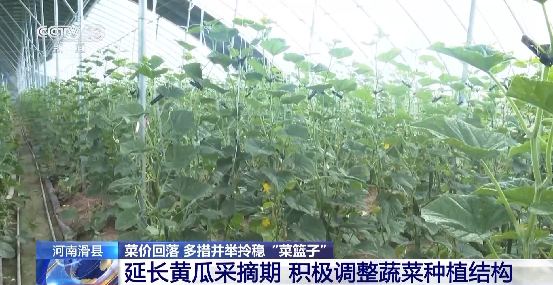 海吉星农贸批发市场_海吉星农产品批发市场_海吉星农批市场官网