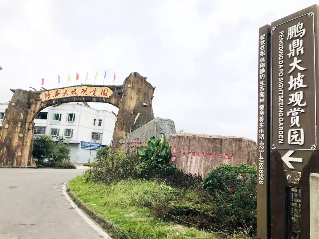 江津富硒农产品_江津十大富硒农产品_江津富硒农产品