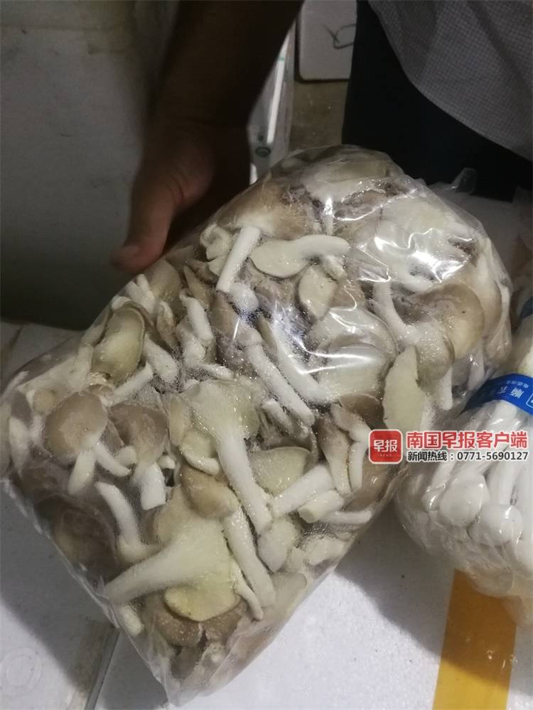 海吉星市场蔬菜水果损失_南宁海吉星市场断电损失_海吉星农产品批发市场