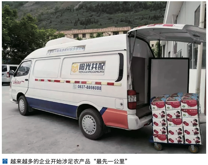 农产品冷链物流发展现状_农产品质量安全追溯取得突破_农产品冷链“最先一公里”问题及解决方案