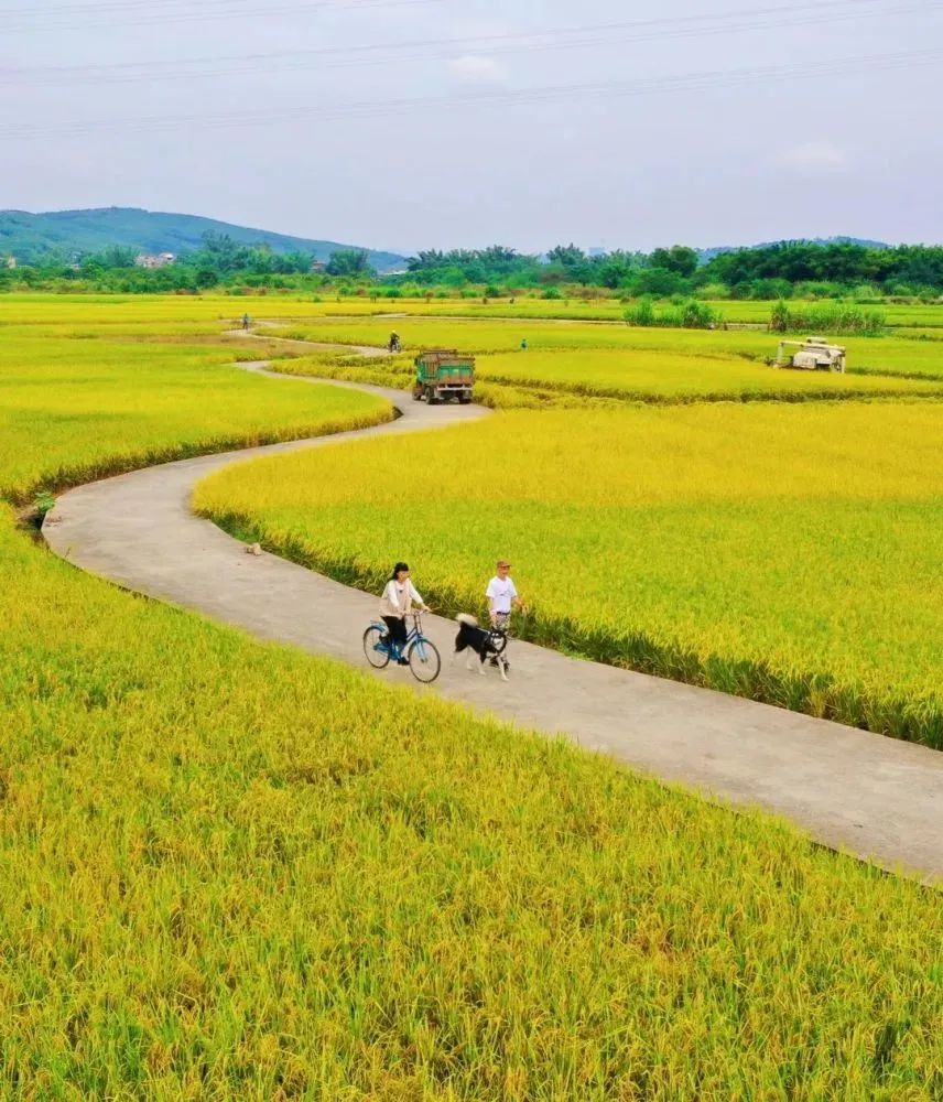 乡村振兴文旅融合_农文旅产业乘数效应_2025年陕西滞销农产品