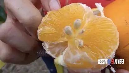 农产品 滞销 数据_网红县长带货_农产品直播带货