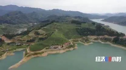 农产品 滞销 数据_农产品直播带货_网红县长带货
